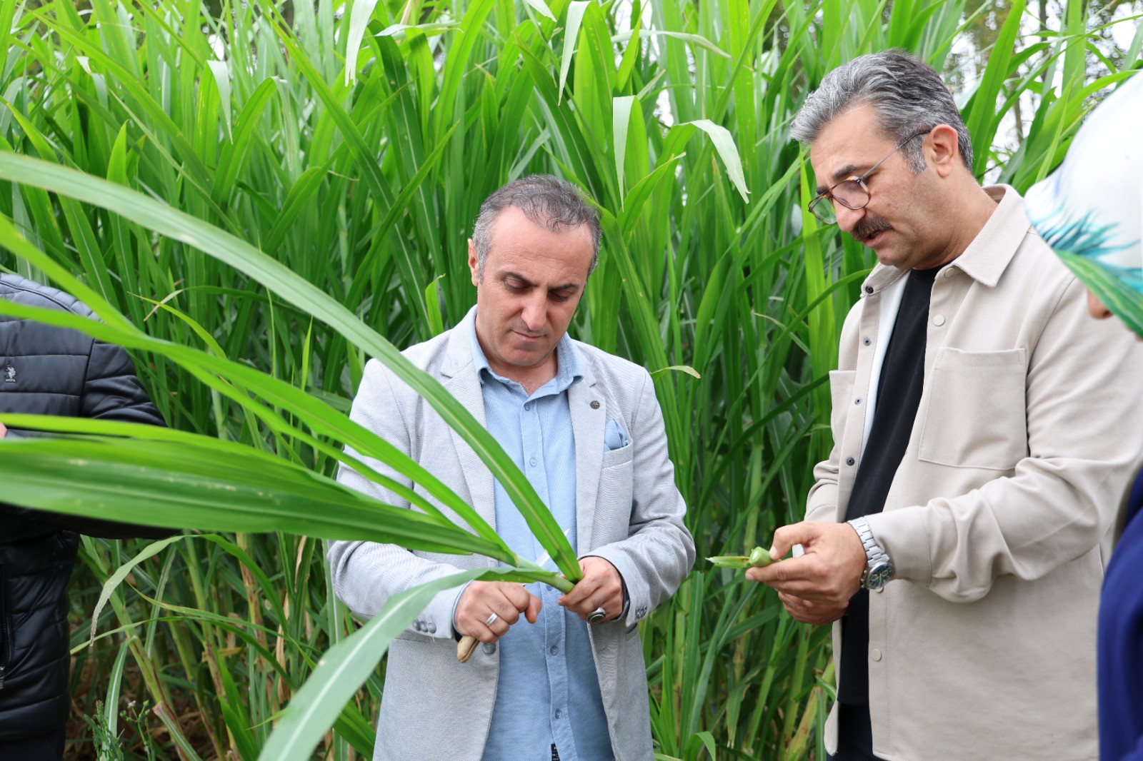 Rektörümüz Prof. Dr. Oktay Yıldız’dan Kelkit’te Tarımsal Kalkınma İncelemesi: Yüksekokul Müdürümüz Programa Katıldı