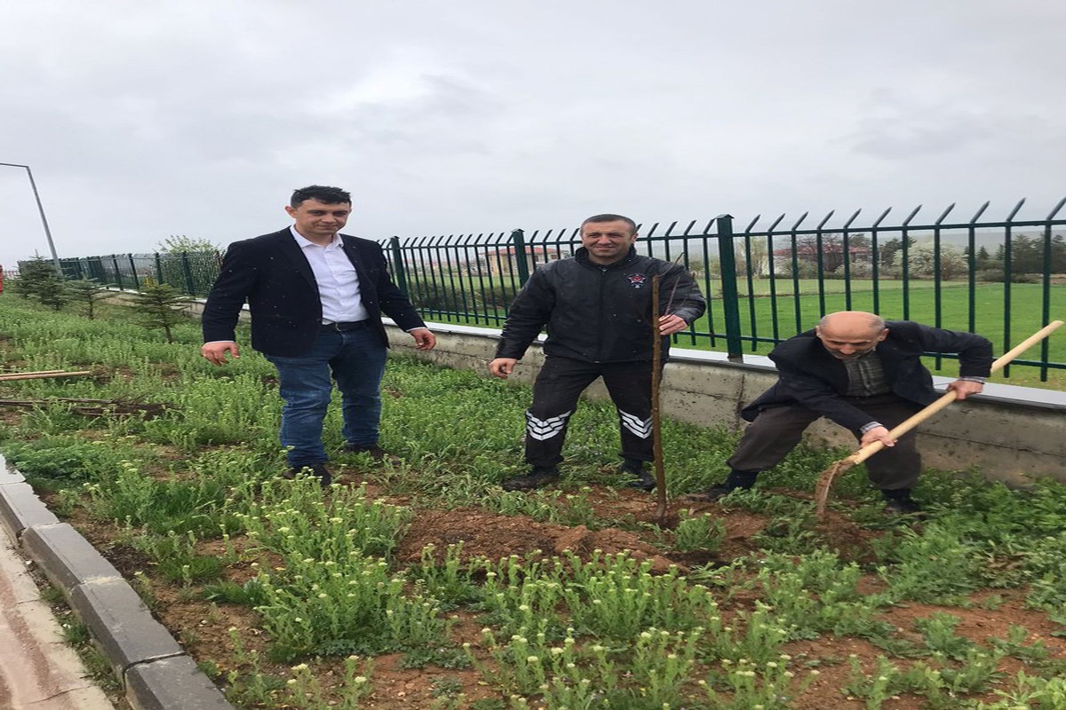 Fidanlar Toprakla Buluştu