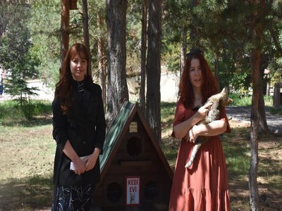 "Kedi Evi" Projemiz TRT Haber'de!