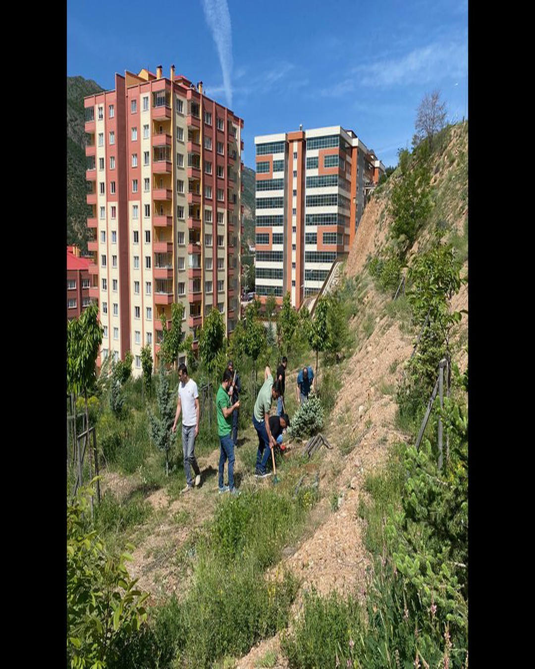 8. Fidan Dikme Etkinliği