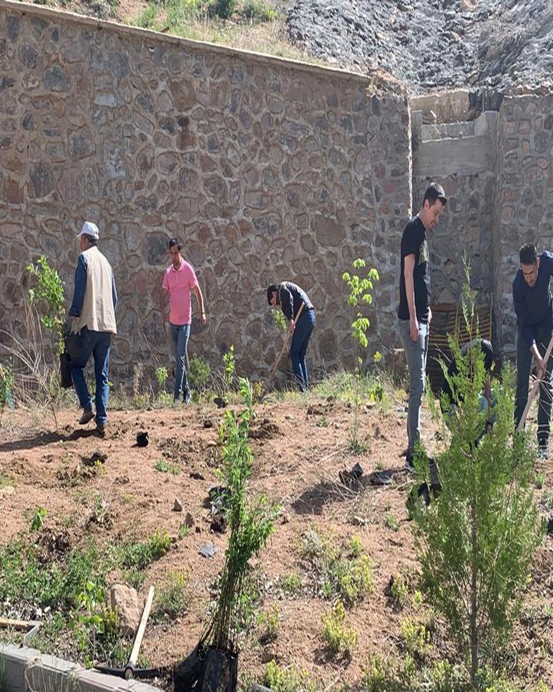 7. Fidan Dikme Etkinliği